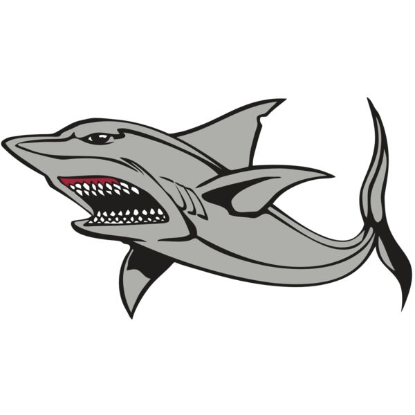 BAW SHARK 03 RC Thumbnail